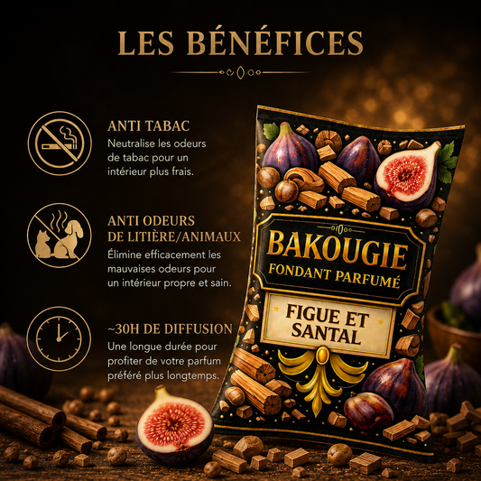 Wax melt Figue et Santal parfum boisé gourmand fondant parfumé artisanal senteur figue fraîche bois de santal