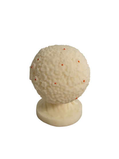 Bougie parfumée fleur d'oranger | Arbre de vie