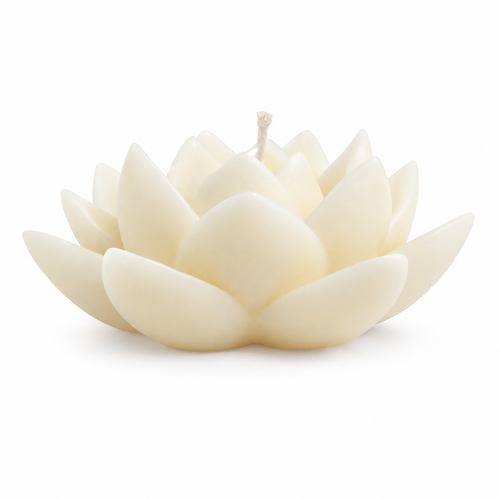 Bougie parfumée fleur de coton | Lotus