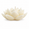 Bougie parfumée fleur de coton Lotus — Bakougie