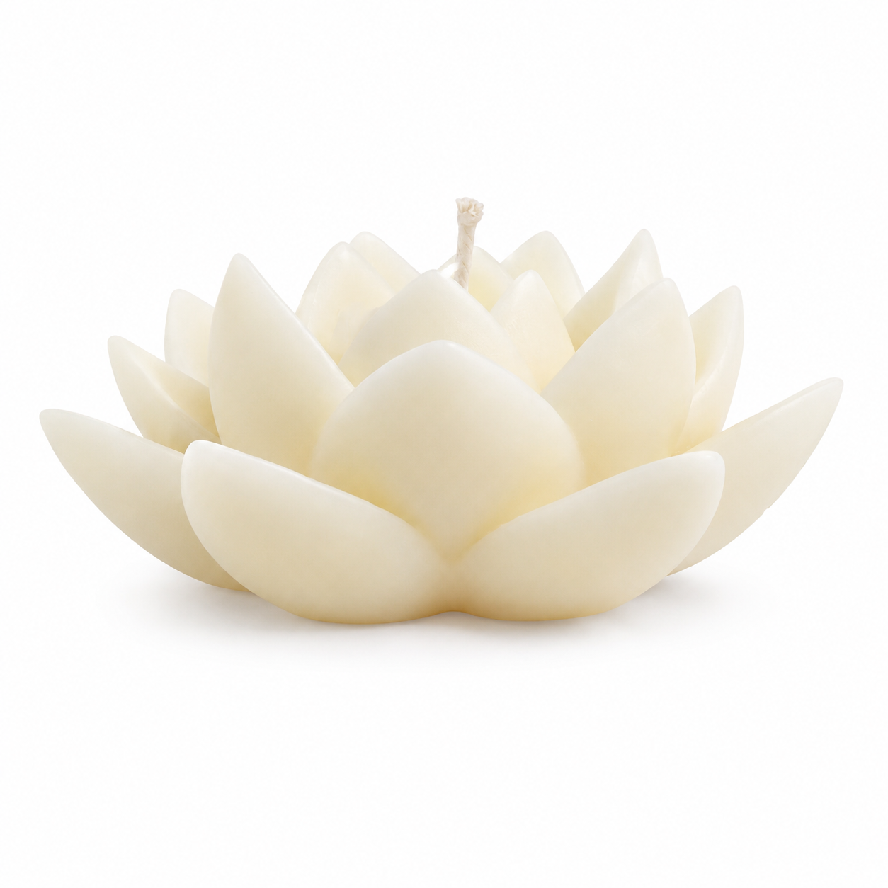 Bougie parfumée fleur de coton Lotus — Bakougie