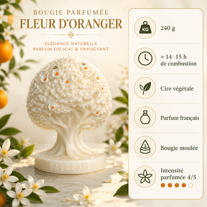Bougie parfumée fleur d'oranger | Arbre de vie