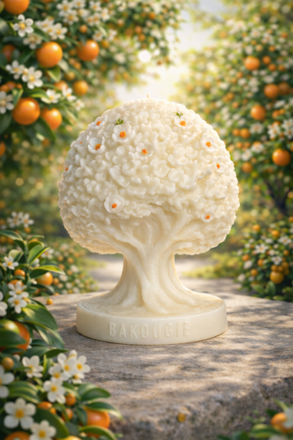 Bougie parfumée fleur d'oranger | Arbre de vie