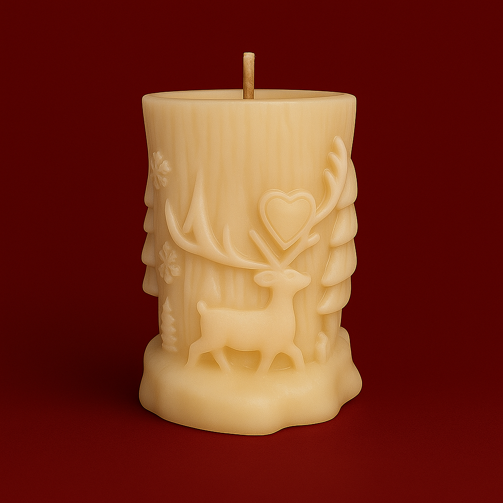 Coffret décoration de Noël 2025