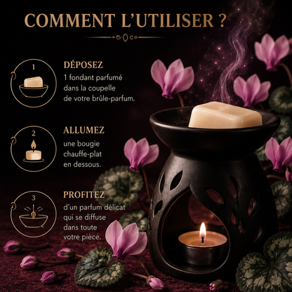 Fondant cire parfumée cyclamen sauvage pour brûle parfum parfum floral boisé et marin diffusion longue durée maison