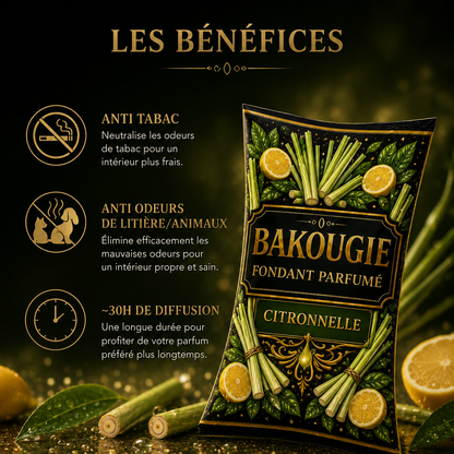 Fondant parfumé citronnelle anti odeur intérieur longue diffusion senteur fraîche citronnée