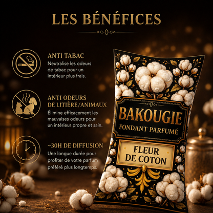 Fondant parfumé fleur de coton anti odeur maison longue diffusion parfum cocooning