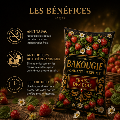 Fondant parfumé fraise des bois anti odeur pour intérieur parfum maison longue diffusion