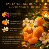 Fondant parfumé Clémentine monoï Bakonette Bakougie — vue complémentaire 5