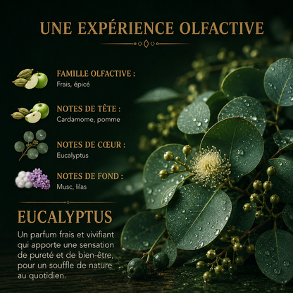 Fondant parfumé eucalyptus wax melt parfum frais végétal senteur spa cocooning cire végétale artisanale