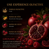 Fondant parfumé Grenade Bakonette Bakougie — notes de grenade et framboise