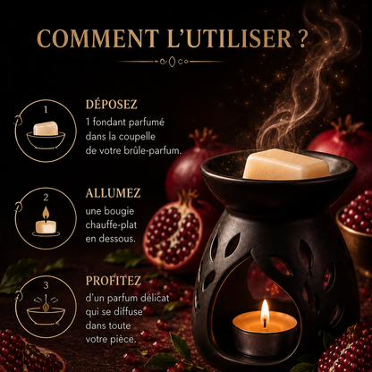 Fondant parfumé grenade longue diffusion pour maison avec odeur fruitée sucrée et ambiance chaleureuse cocooning