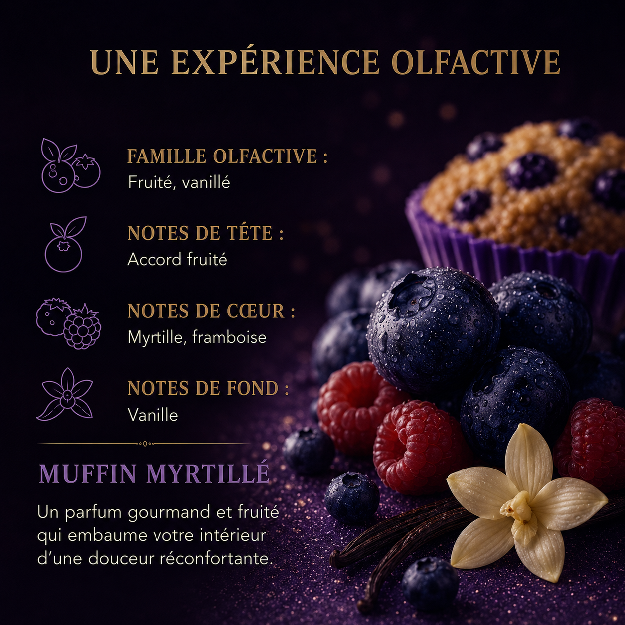 Fondant parfumé Muffin myrtille Bakonette Bakougie — notes de fruits rouges, vanille et pâtisserie