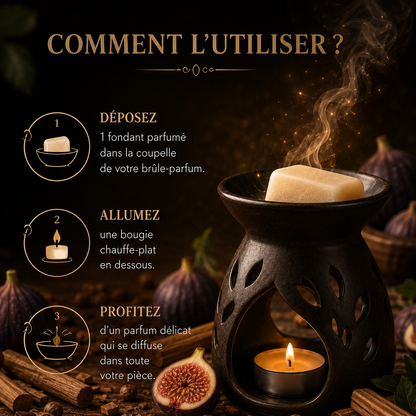 Galet parfumé Figue et Santal pour brûle parfum cire parfumée végétale ambiance cocooning boisée élégante