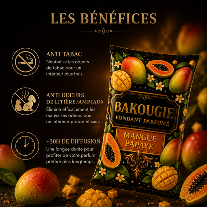 Galet parfumé mangue papaye longue diffusion pour maison avec parfum tropical gourmand et exotique
