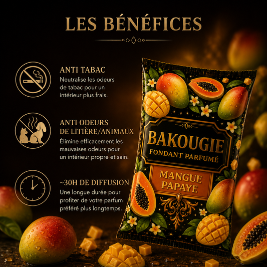 Galet parfumé mangue papaye longue diffusion pour maison avec parfum tropical gourmand et exotique