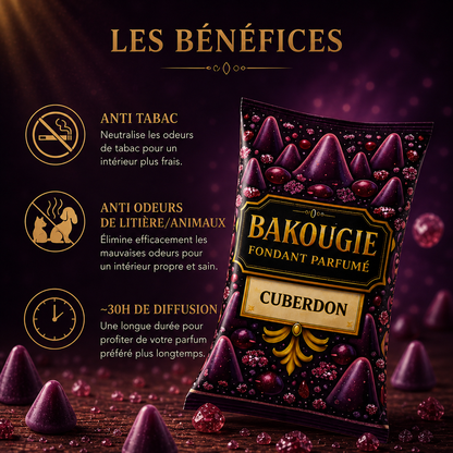 Wax melt Cuberdon framboise vanille fondant parfumé gourmand cire parfumée artisanale senteur bonbon